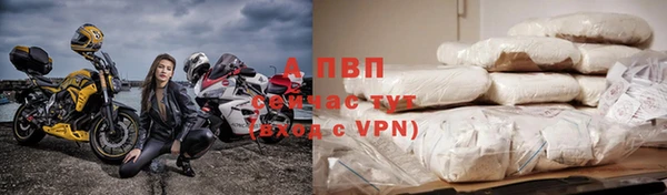 героин Богданович