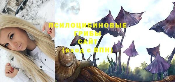 кокс Беломорск